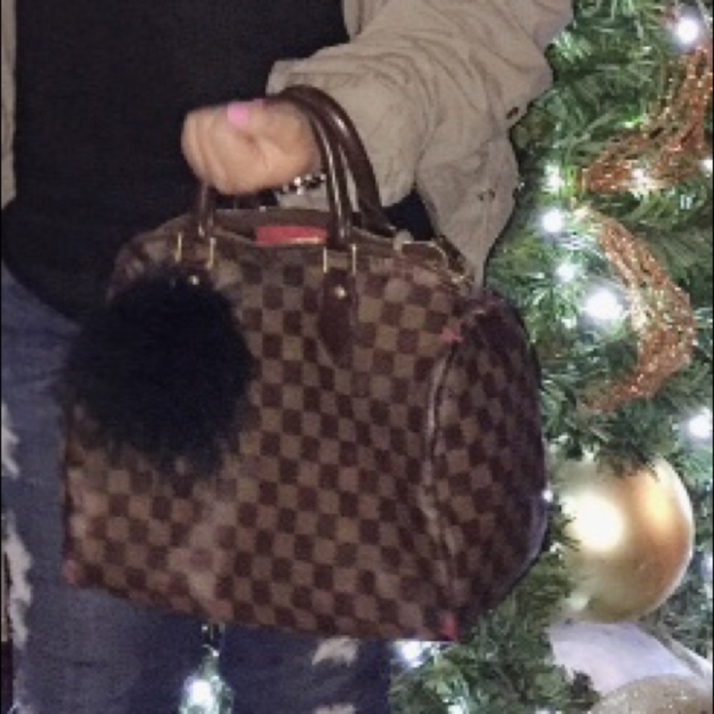 Louis Vuitton speedy 30 Damier used